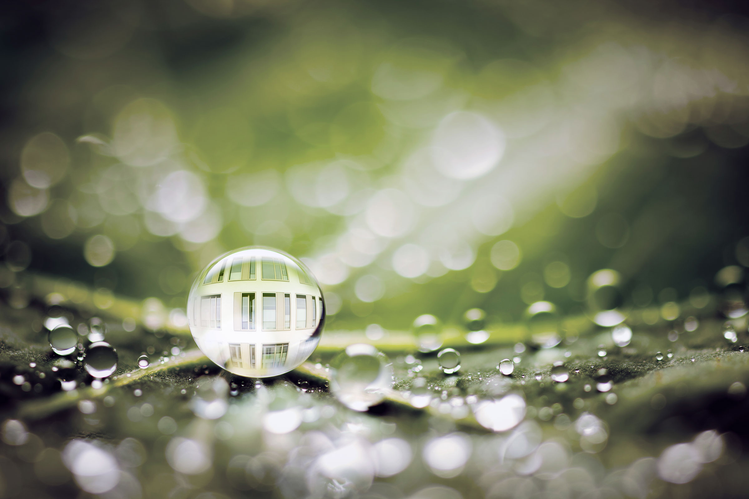 Bionics at SÜDWEST: Water drops on green leaf, bionic facade paint