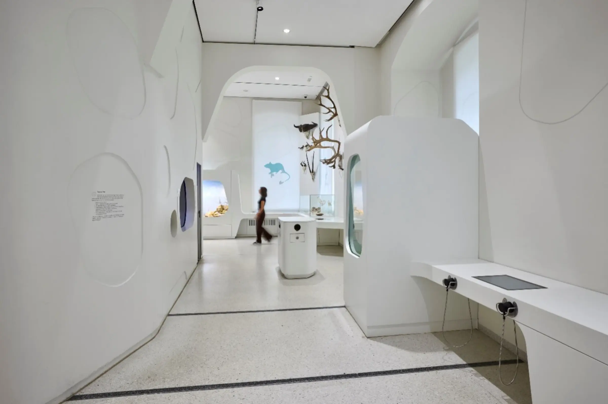 Natural History Museum interiors