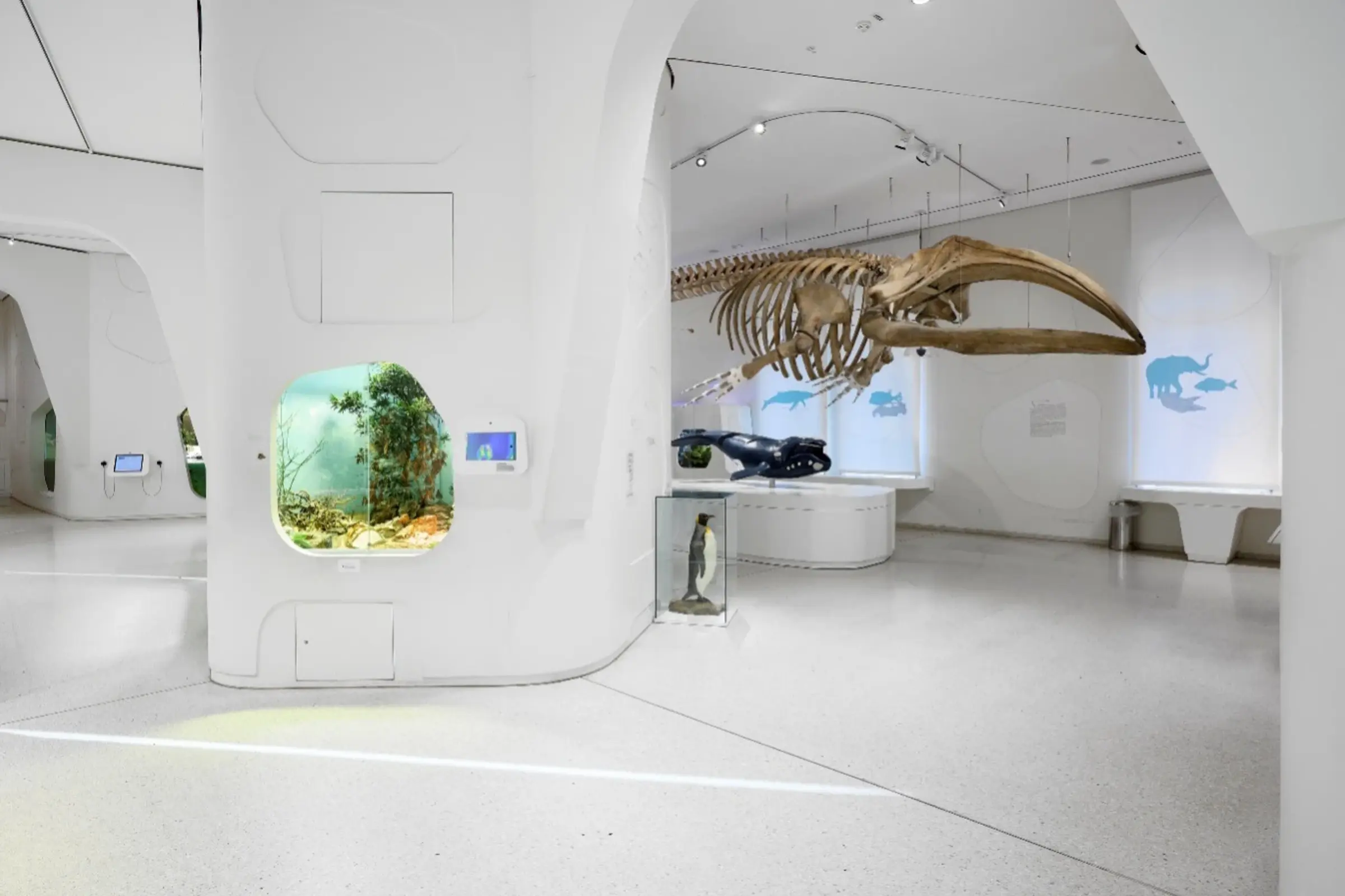 Natural History Museum interiors
