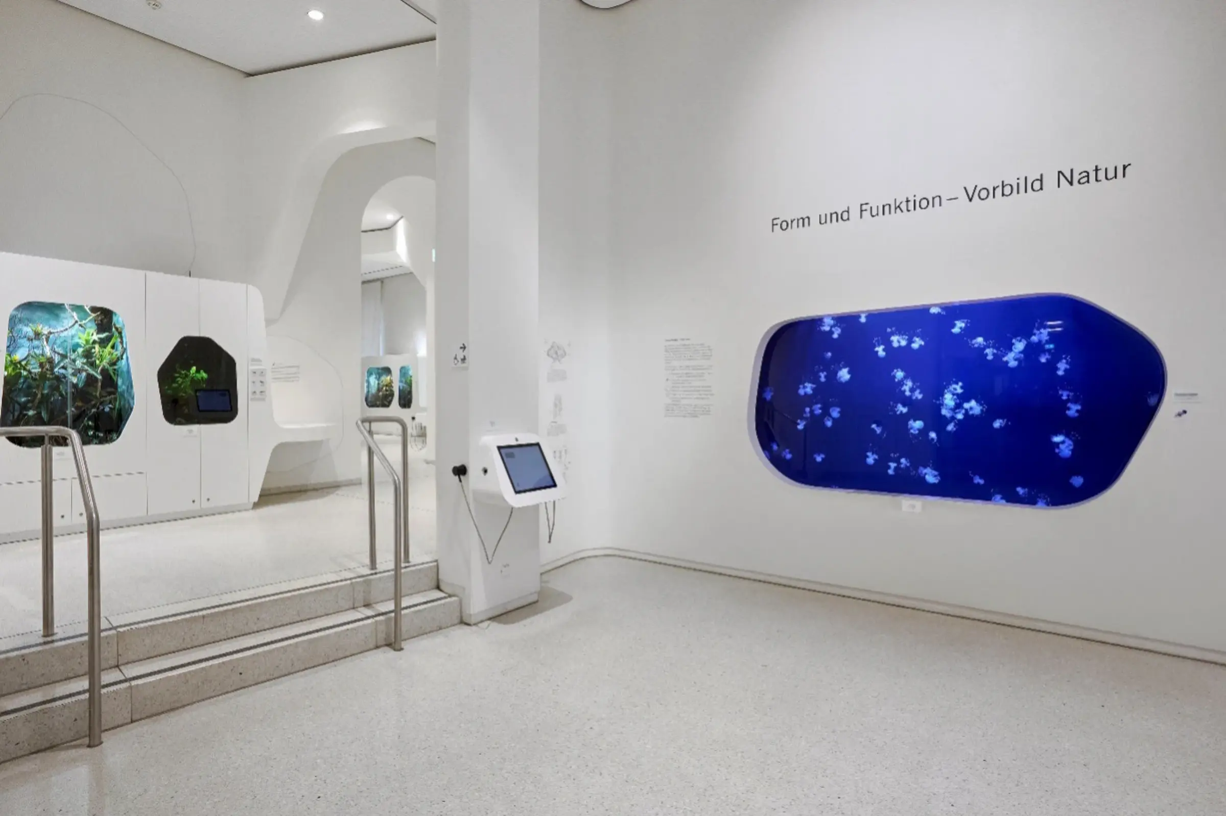 Natural History Museum interiors