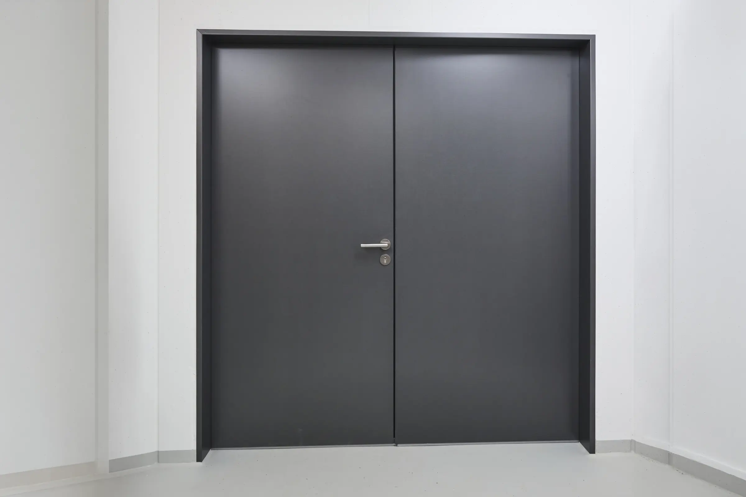 Black painted door
