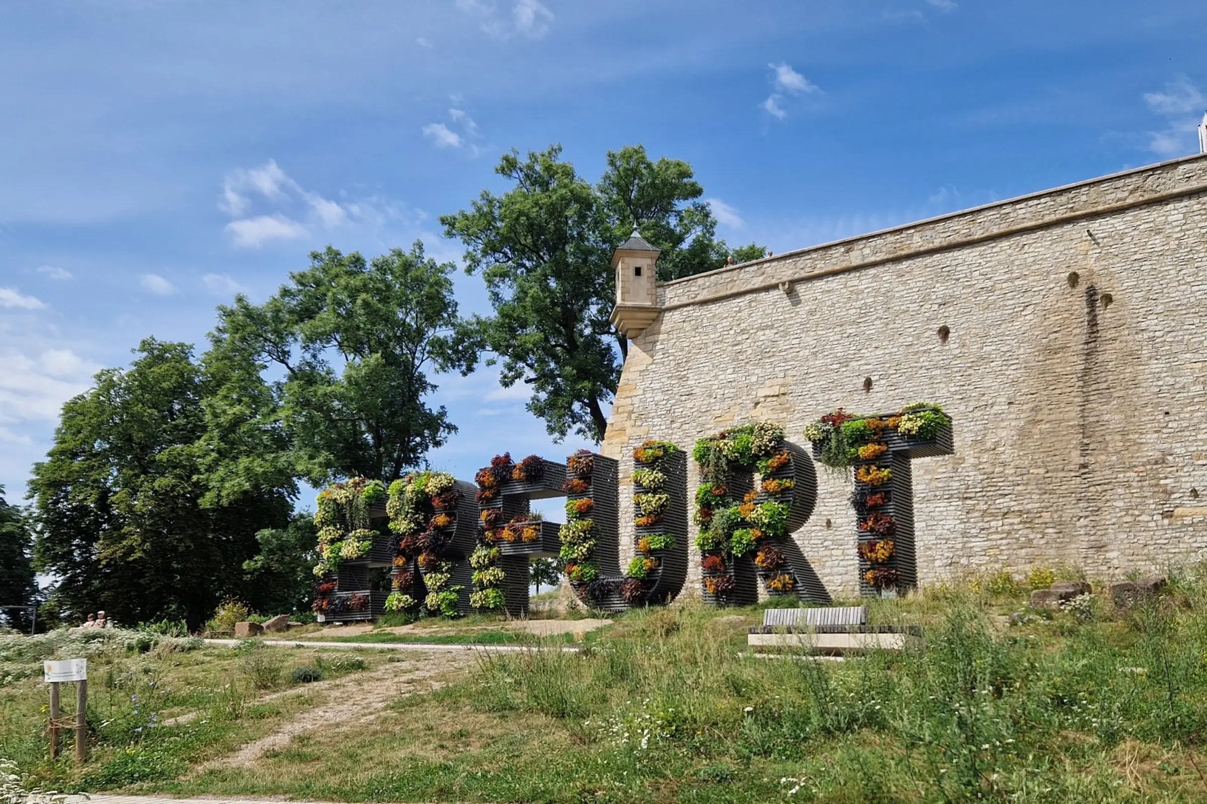 suedwest_aquavision_holzfarbe_erfurt_2__large_